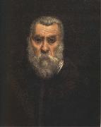 Jacopo Tintoretto Self-Portrait oil painting reproduction